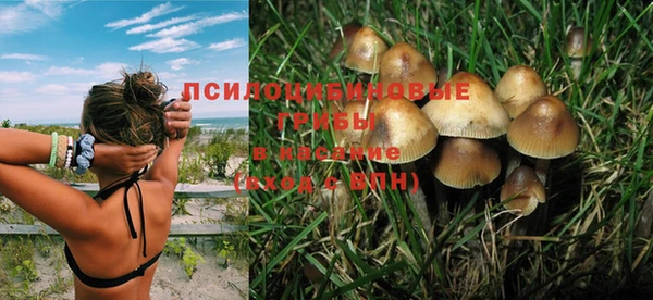 стаф Богданович