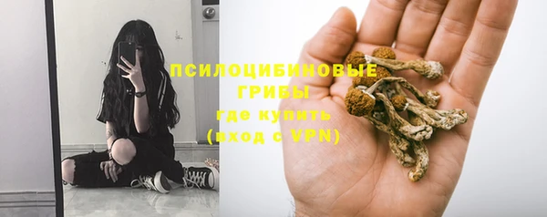 a pvp Богородицк