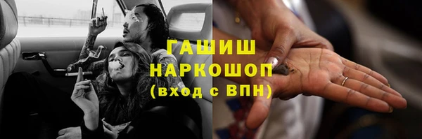 стаф Богданович