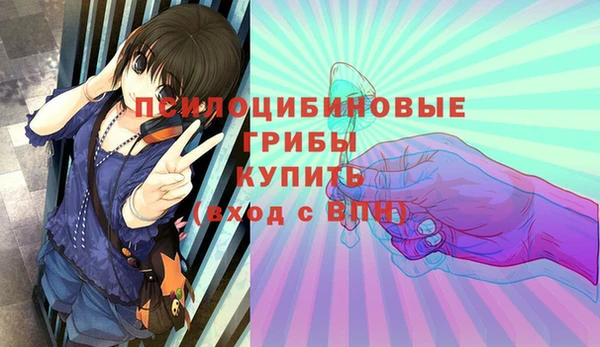 стаф Богданович