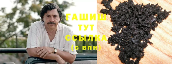 стаф Богданович