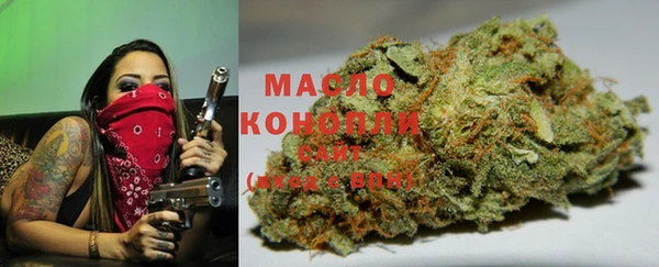 стаф Богданович