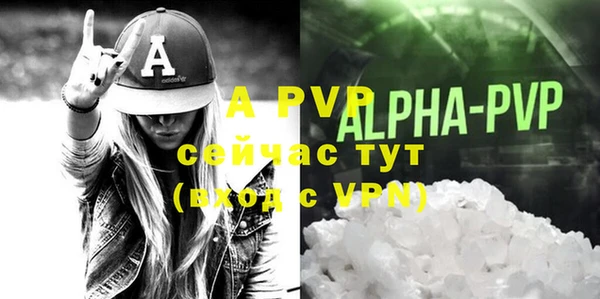 стаф Богданович