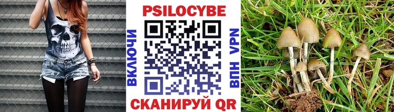 где можно купить наркотик Калининец Псилоцибиновые грибы мухоморы